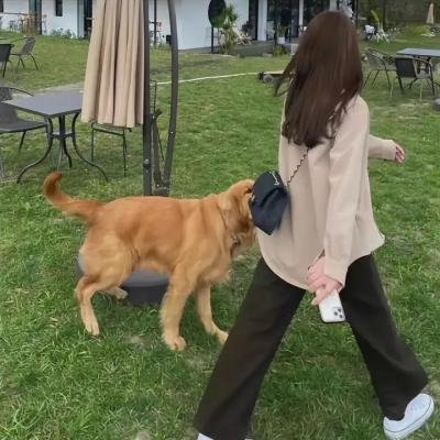 陨石大灾难